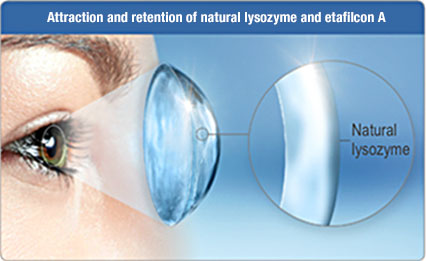 1-Day Acuvue Moist (30 lenses/pack)-Clear Contacts-UNIQSO EU