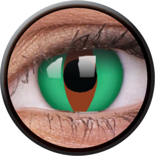 Colorvue Crazy Raptor (2 lenses/pack)-Crazy Contacts-UNIQSO