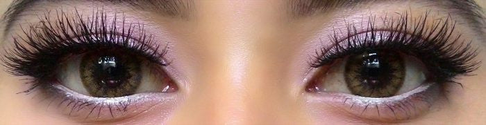 Colorvue Cheerful Woody Brown (2 lenses/pack)-Colored Contacts-UNIQSO EU