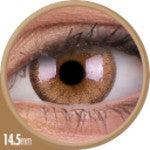 Colorvue Cheerful Woody Brown (2 lenses/pack)-Colored Contacts-UNIQSO EU