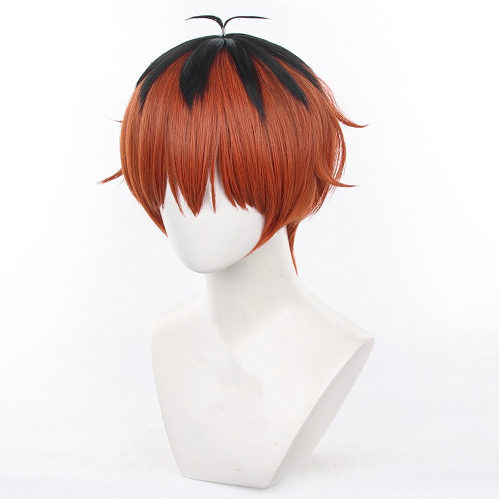 Cosplay Wig - CS 529D-Cosplay Wig-UNIQSO EU
