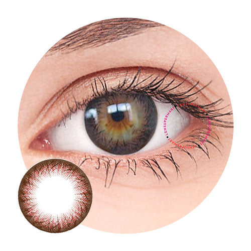 Dueba Toric - TR8 Brown (1 lens/pack)-Colored Contacts-UNIQSO EU