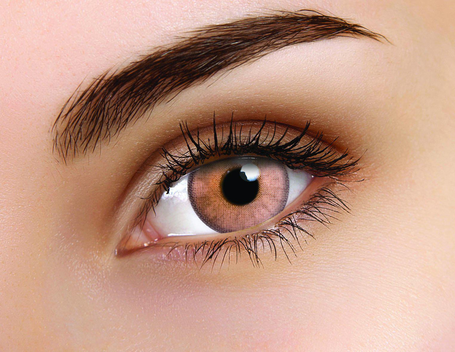 Flash Elixor Sinopia Brown (2 lenses/pack)-Colored Contacts-UNIQSO EU