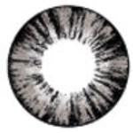 Western Eyes Forest Grey (1 lens/pack)-Colored Contacts-UNIQSO