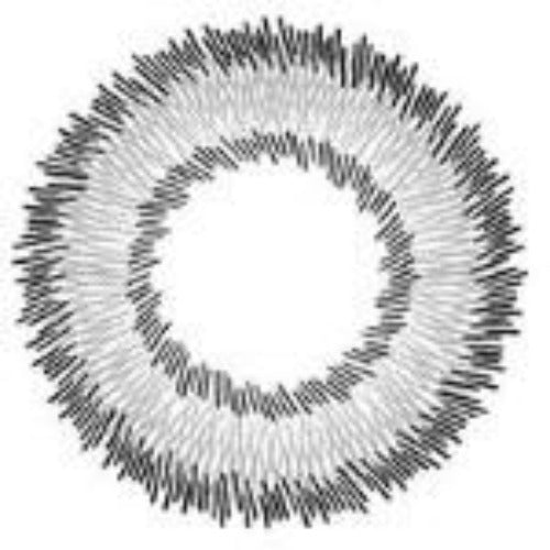 I-Codi Naty IC2 51 Grey (1 lens/pack)-Colored Contacts-UNIQSO EU
