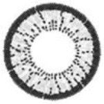 ICK Animate Grey (1 lens/pack)-Colored Contacts-UNIQSO EU