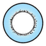 I.Fairy Moonlite Blue (1 lens/pack)-Colored Contacts-UNIQSO EU