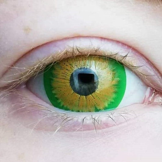 Kazzue Mini Sclera Rogue (1 lens/pack)-Mini Sclera Contacts-UNIQSO EU