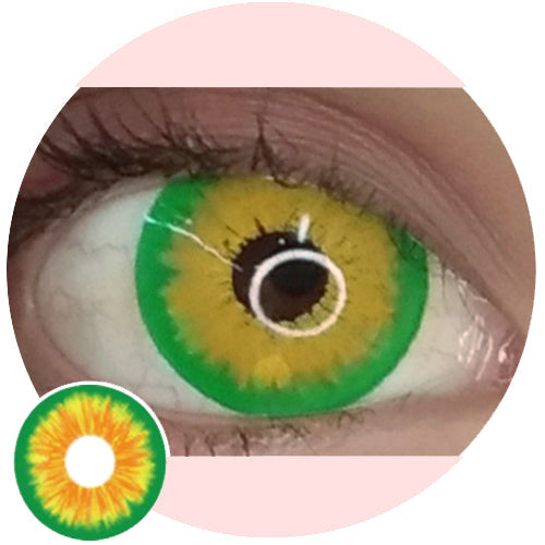 Kazzue Mini Sclera Rogue (1 lens/pack)-Mini Sclera Contacts-UNIQSO EU