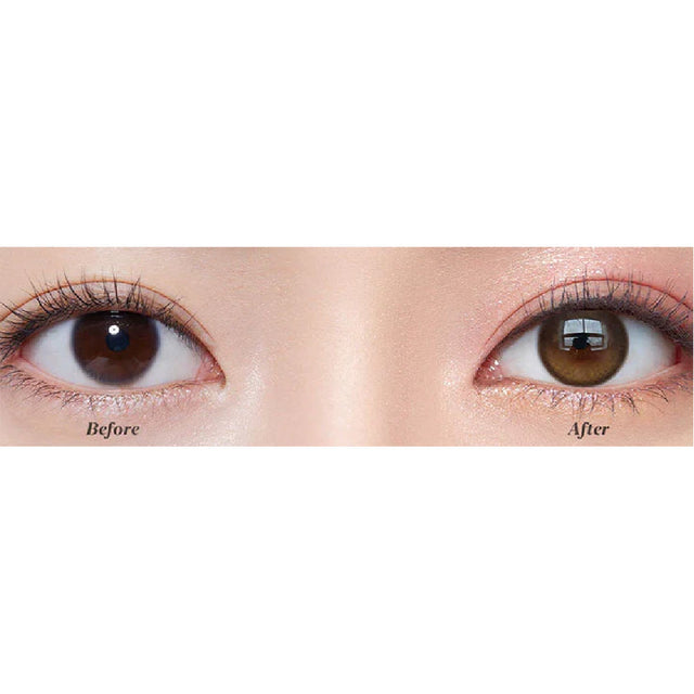 Kazzue Toric Contour Brown (1 lens/pack)-Colored Contacts-UNIQSO EU