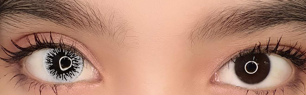 Sweety Crazy Black Parasite (1 lens/pack)-Crazy Contacts-UNIQSO EU
