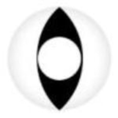 Sweety Crazy White Cat (1 lens/pack)-Crazy Contacts-UNIQSO EU
