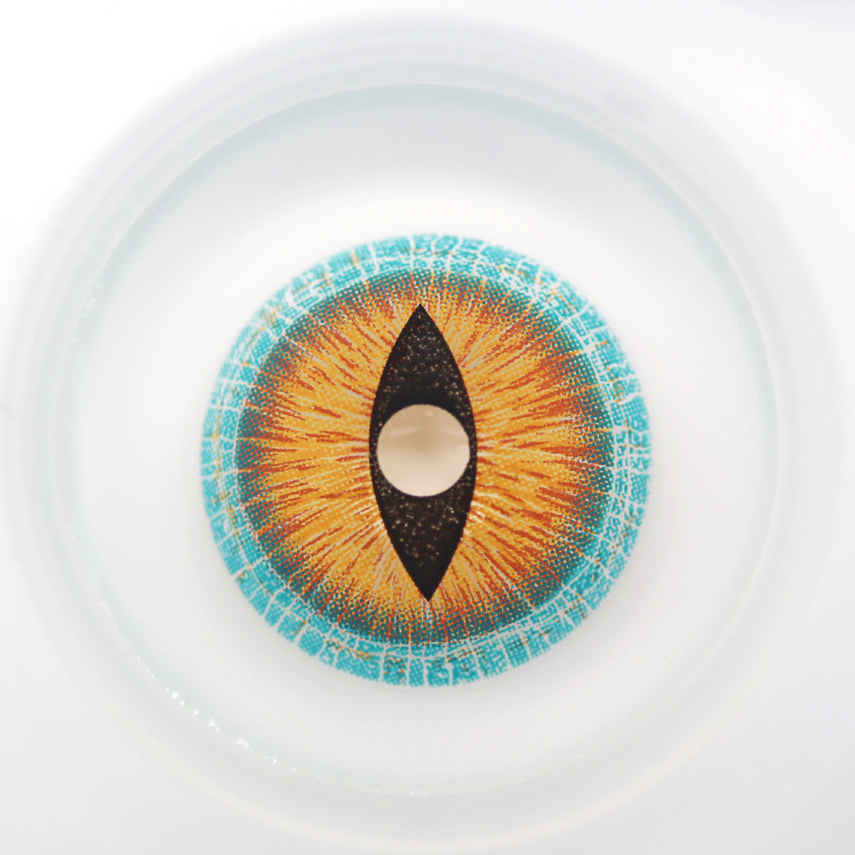 Sweety Mini Sclera Brown Lizard (1 lens/pack)-Mini Sclera Contacts-UNIQSO EU