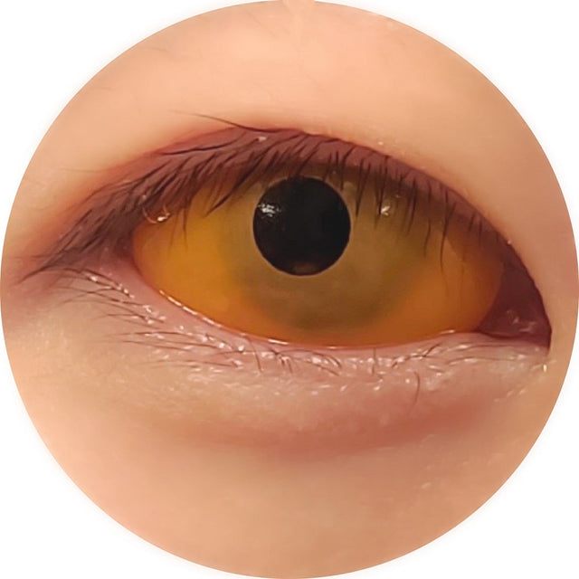 Sweety Orange Sclera Contacts (1 lens/pack)-Sclera Contacts-UNIQSO EU