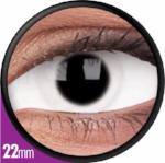 Sweety White Sclera Contacts Whiteout (1 lens/pack)-Sclera Contacts-UNIQSO EU