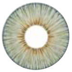 Urban Layer Angeles Grey colored contacts