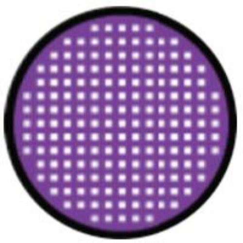 Sweety Crazy Violet Mesh Rim (1 lens/pack)-Crazy Contacts-UNIQSO EU