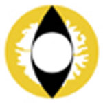 Sweety Crazy Yellow Dragon (1 lens/pack)-Crazy Contacts-UNIQSO