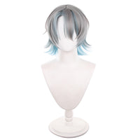 Cosplay Wig - Last Resort-Liu Qingcheng-Cosplay Wig-UNIQSO