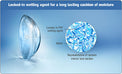 1-Day Acuvue Moist (30 lenses/pack)-Clear Contacts-UNIQSO EU