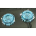 1 Day Sweety Fruit Juice Blueberry (2 or 10 lenses/pack)-Colored Contacts-UNIQSO EU