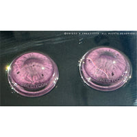1 Day Sweety Fruit Juice Grape (2 or 10 lenses/pack)-Colored Contacts-UNIQSO EU