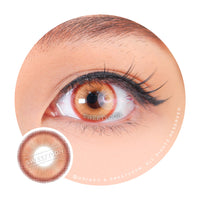 1 Day Sweety Star Tears Brown (2 or 10 lenses/pack)-Colored Contacts-UNIQSO EU