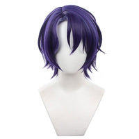 Cosplay Wig - Honkai Star Rail - Dr. Ratio-Cosplay Wig-UNIQSO