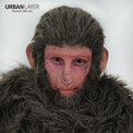 Sweety Orange Sclera Contacts - Orange Elf / Dark Phoenix (1 lens/pack)-Sclera Contacts-UNIQSO EU