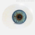 1 Day Sweety Seafoam Vaadhoo (10 lenses/pack)-Colored Contacts-UNIQSO