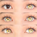 Sweety x Eyesinger Golden Starburst (2 lenses/pack)-Colored Contacts-UNIQSO EU