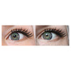 Western Eyes Bella 4 Tones Green Blue (1 lens/pack)-Colored Contacts-UNIQSO