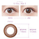 SEED Eye Coffret 1 Day UV M Clear Accent - Rich Make (For Astigmatism)-Colored Contacts-UNIQSO