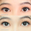 Sweety Muse Black (1 lens/pack)-Colored Contacts-UNIQSO EU