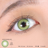 Kazzue Sakura Leaf (1 lens/pack)-Colored Contacts-UNIQSO