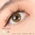 Kazzue Basic Pure Brown (1 lens/pack)-Colored Contacts-UNIQSO