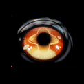 Sweety x Eyesinger Golden Eclipse (2 lenses/pack)-Colored Contacts-UNIQSO