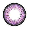 Kazzue Premier Violet (1 lens/pack)-Colored Contacts-UNIQSO