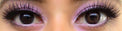 Colorvue 3 tones Brown (2 lenses/pack)-Colored Contacts-UNIQSO EU