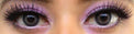 Colorvue 3 tones Grey (2 lenses/pack)-Colored Contacts-UNIQSO EU