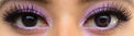 Colorvue 3 tones Violet (2 lenses/pack)-Colored Contacts-UNIQSO EU