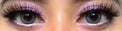 Colorvue Cheerful Carbon Grey (2 lenses/pack)-Colored Contacts-UNIQSO EU