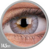 Colorvue Cheerful Carbon Grey (2 lenses/pack)-Colored Contacts-UNIQSO EU