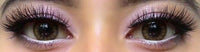 Colorvue Cheerful Woody Brown (2 lenses/pack)-Colored Contacts-UNIQSO EU