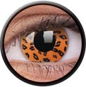Colorvue Crazy Yellow Leopard (2 lenses/pack)-Crazy Contacts-UNIQSO EU