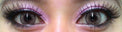 Colorvue Lumina Shining Brown (2 lenses/pack)-Colored Contacts-UNIQSO EU