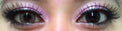 Colorvue Lumina Shining Brown (2 lenses/pack)-Colored Contacts-UNIQSO EU