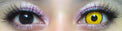 Coscon Crazy with Power - Mad Hatter (1 lens/pack)-Crazy Contacts-UNIQSO EU