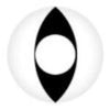 Coscon Crazy with Power - Viper (1 lens/pack)-Crazy Contacts-UNIQSO EU