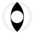 Coscon Crazy with Power - Viper (1 lens/pack)-Crazy Contacts-UNIQSO EU